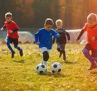 好博体育,产品,好博体育官网,好博体育官网,HaoBo,Sports,足球直播,篮球赛事,体育高清,NBA直播