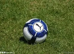 好博体育,资讯,好博体育官网,好博体育官网,HaoBo,Sports,足球直播,篮球赛事,体育高清,NBA直播